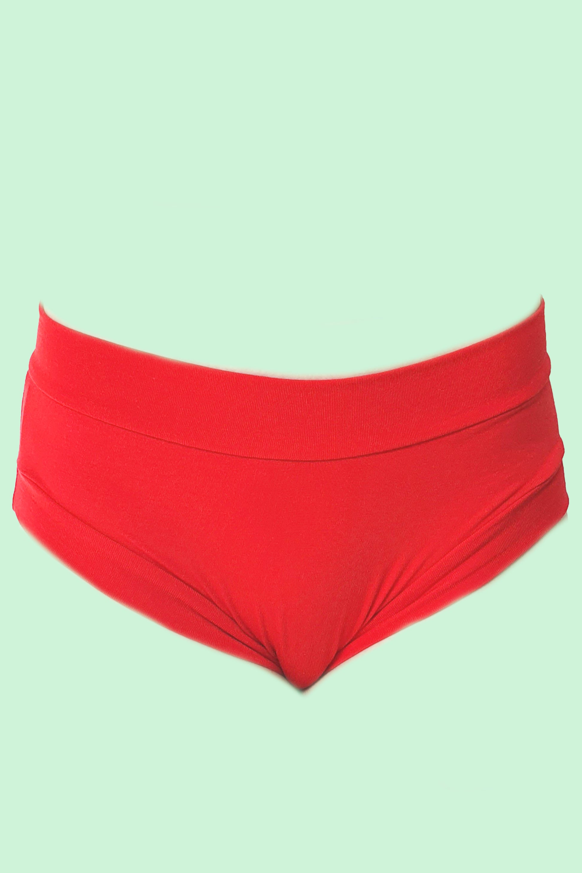 Organic bamboo ultra soft flat front briefs by Designed By Debz, showcasing the handmade eco-friendly underwear in a natural pose