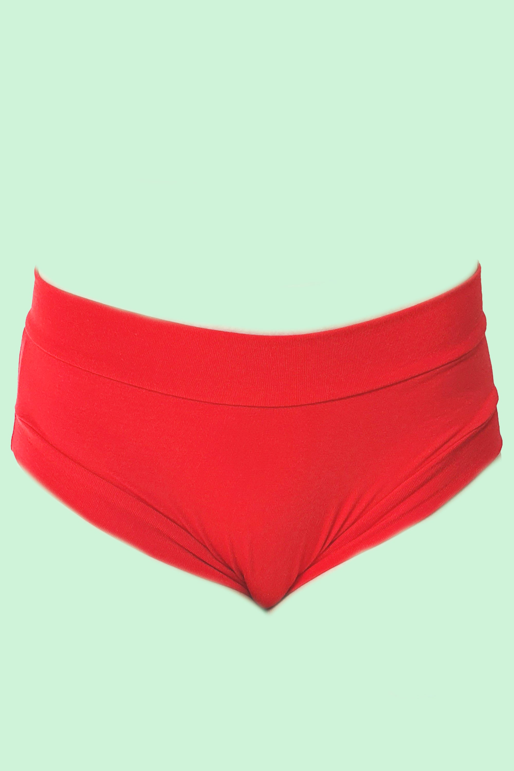 Organic bamboo ultra soft flat front briefs by Designed By Debz, showcasing the handmade eco-friendly underwear in a natural pose